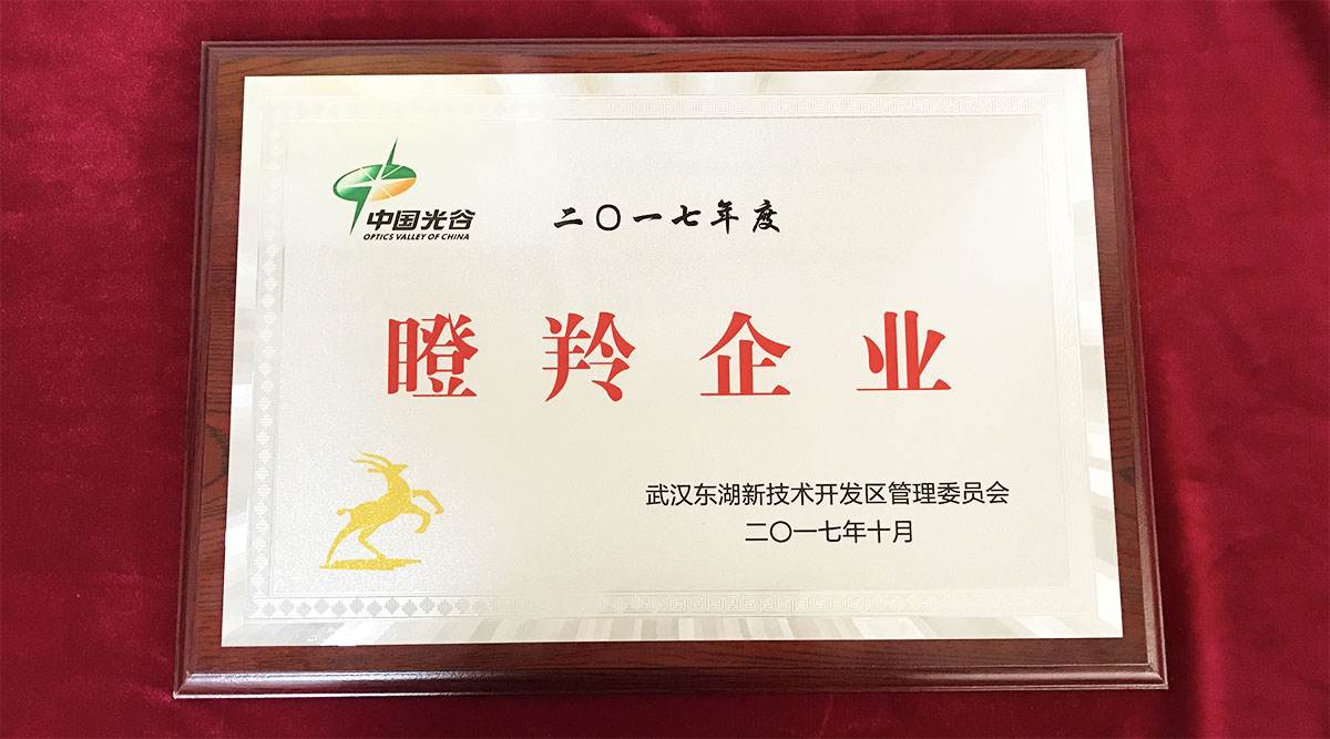 祝賀武漢邁信電氣技術(shù)有限公司榮獲中國光谷2017年度“瞪羚企業(yè)”！